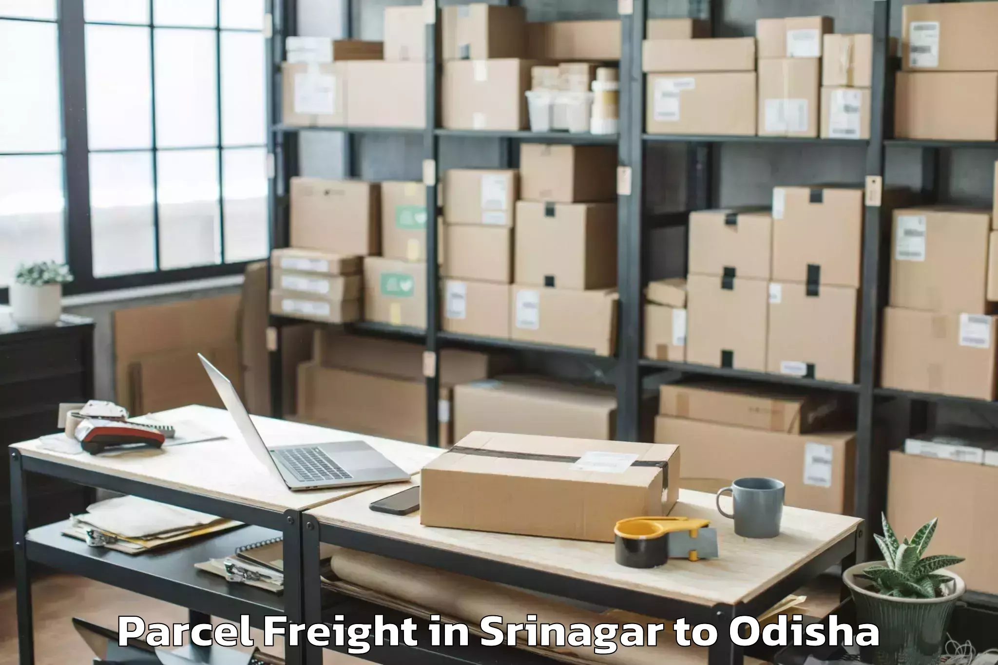 Book Your Srinagar to Nimapada Parcel Freight Today